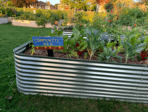 RGB Curated: For community gardens