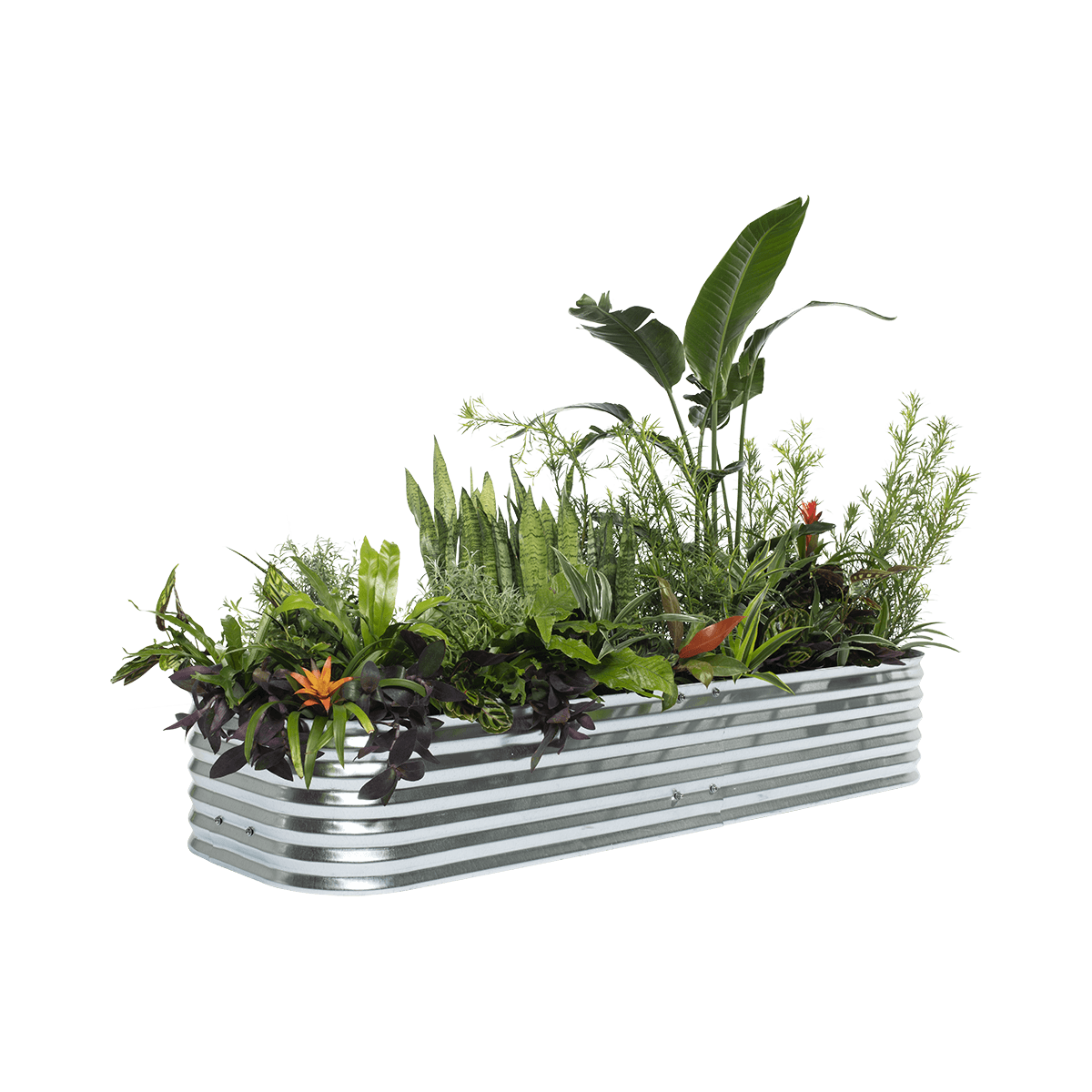 Harvest Mini Raised Garden Beds Canada