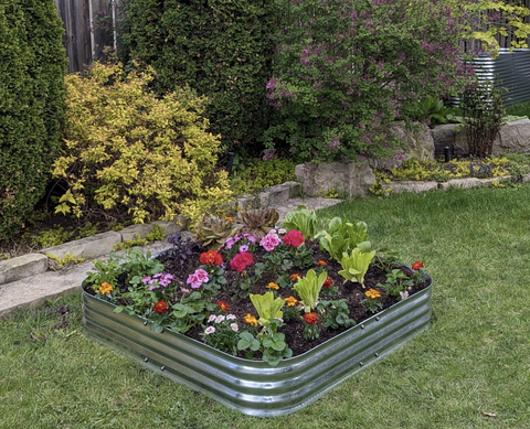 Mini récolte — 8 po de haut — Parterre surélevé, ensemble de 2