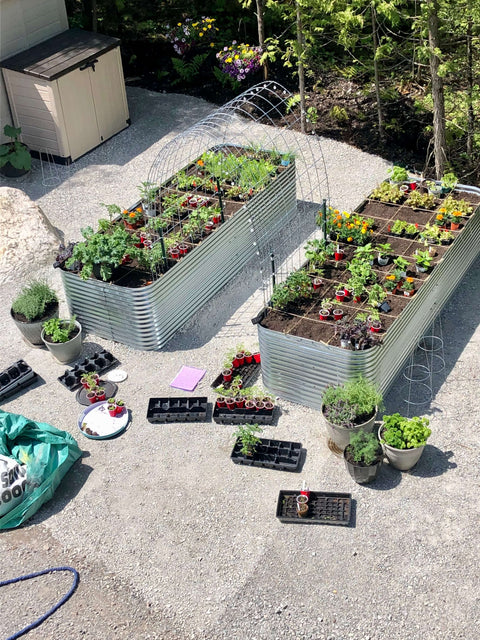 Harvest
