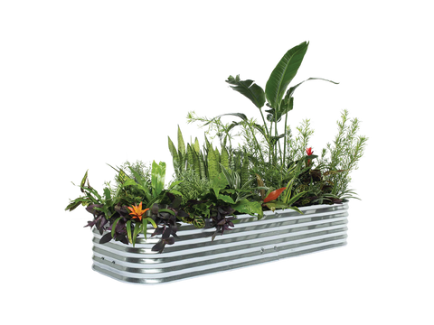 Harvest Mini