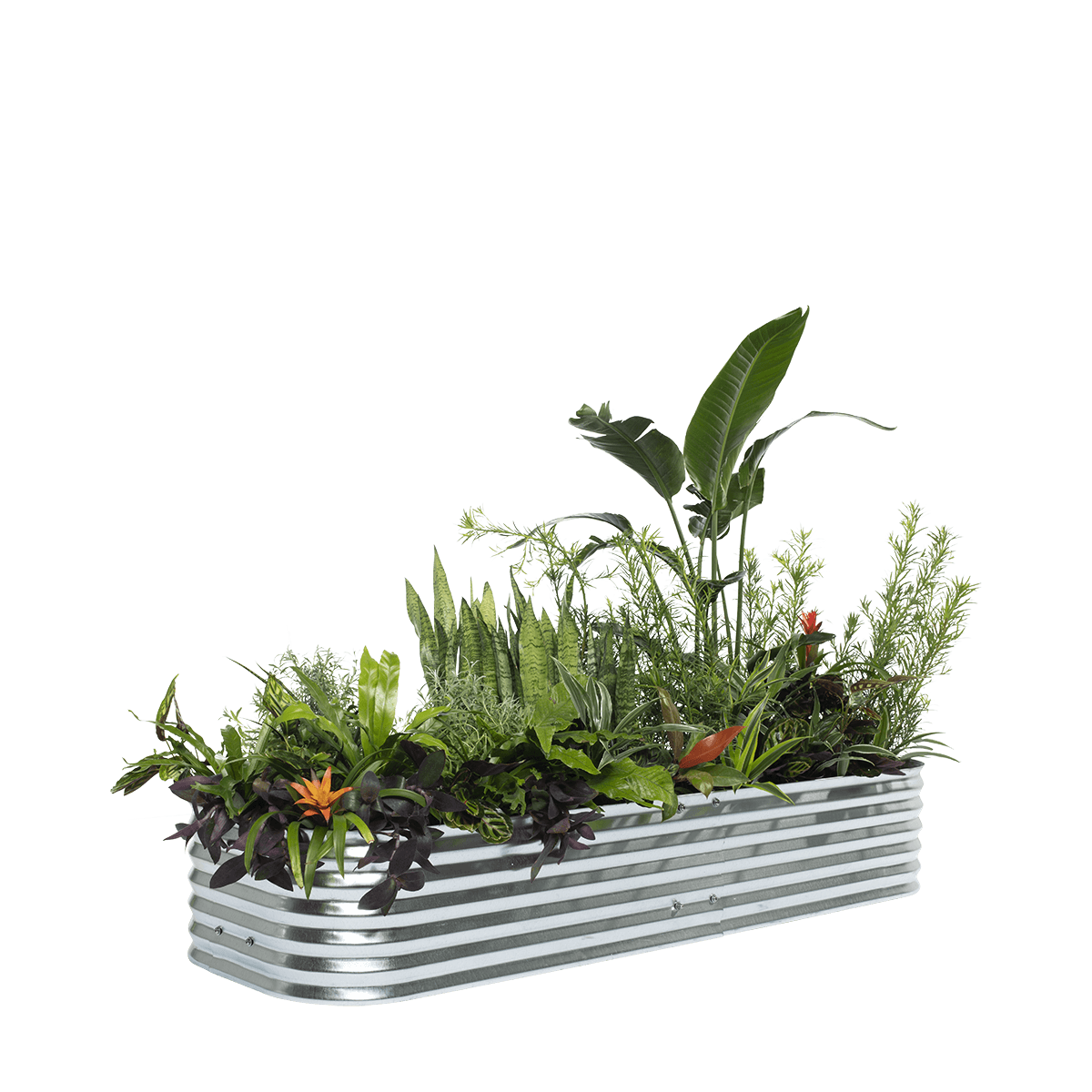 鉢・プランター NEIGHBORHOOD SRL . GARDEN BED / I-SHELF 71ONmBBkmwL._AC_UF894,