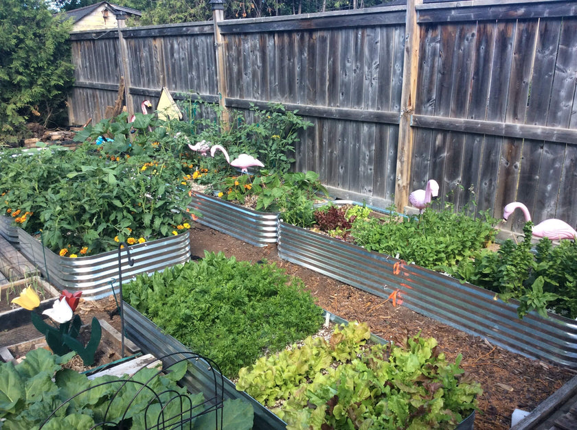 Raised Garden Beds Canada MultiPacks Bundle and Save