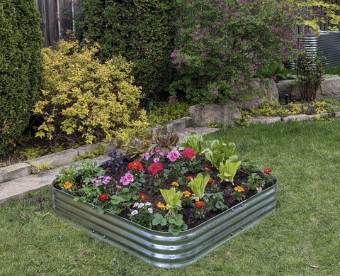 Harvest Mini — 8" High — Raised Garden Bed 2-Pack [Sample]