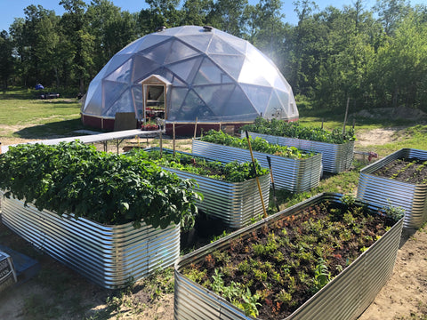 4' x 8' Greenhouse Dome for Raised Garden Bed