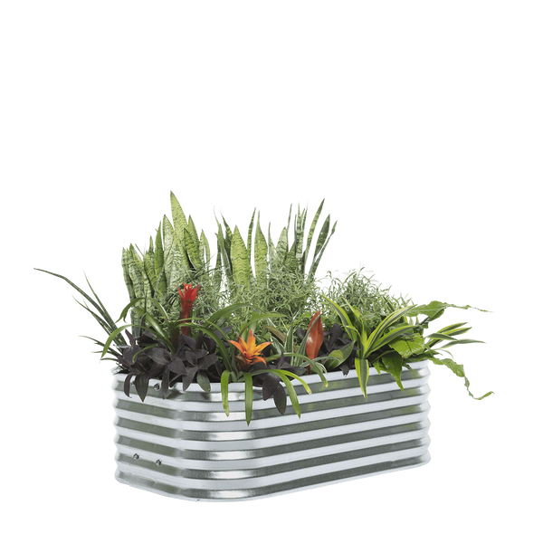 RaisedGardenBedsCanadaDiscover
