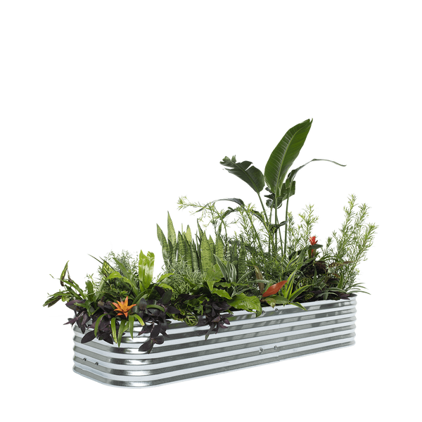 Raised Garden Bed: Harvest — 12